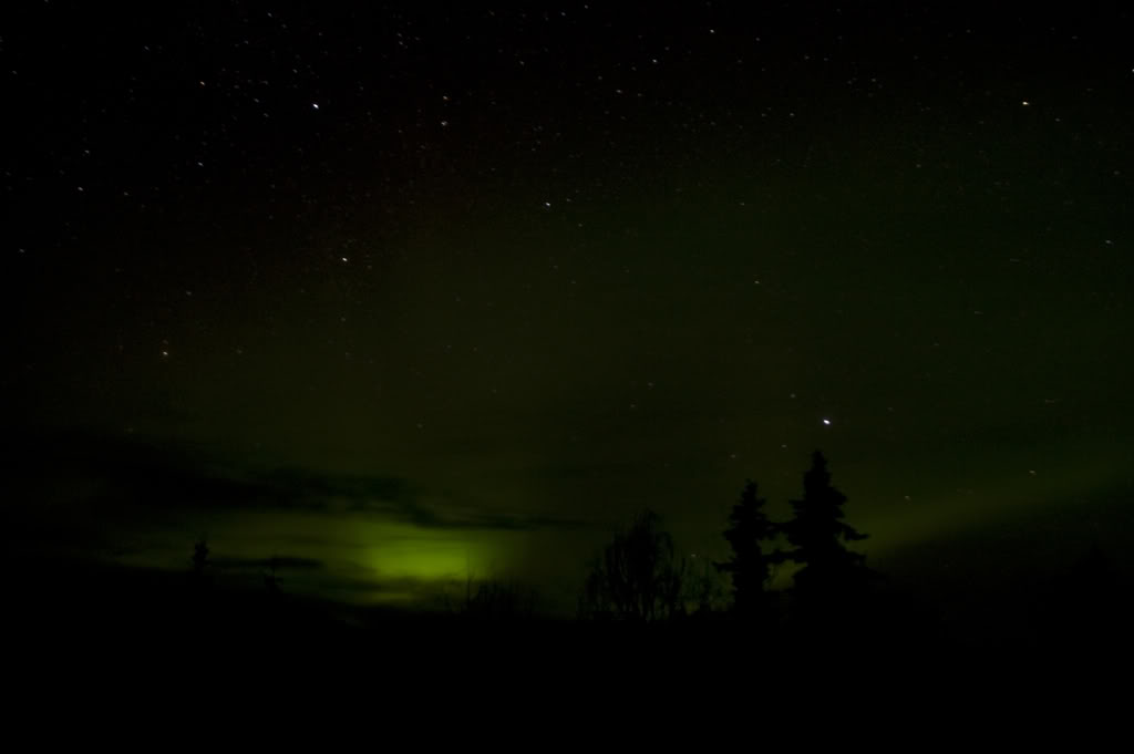 Name:  DSC_0037-1.jpg
Views: 31
Size:  25.9 KB