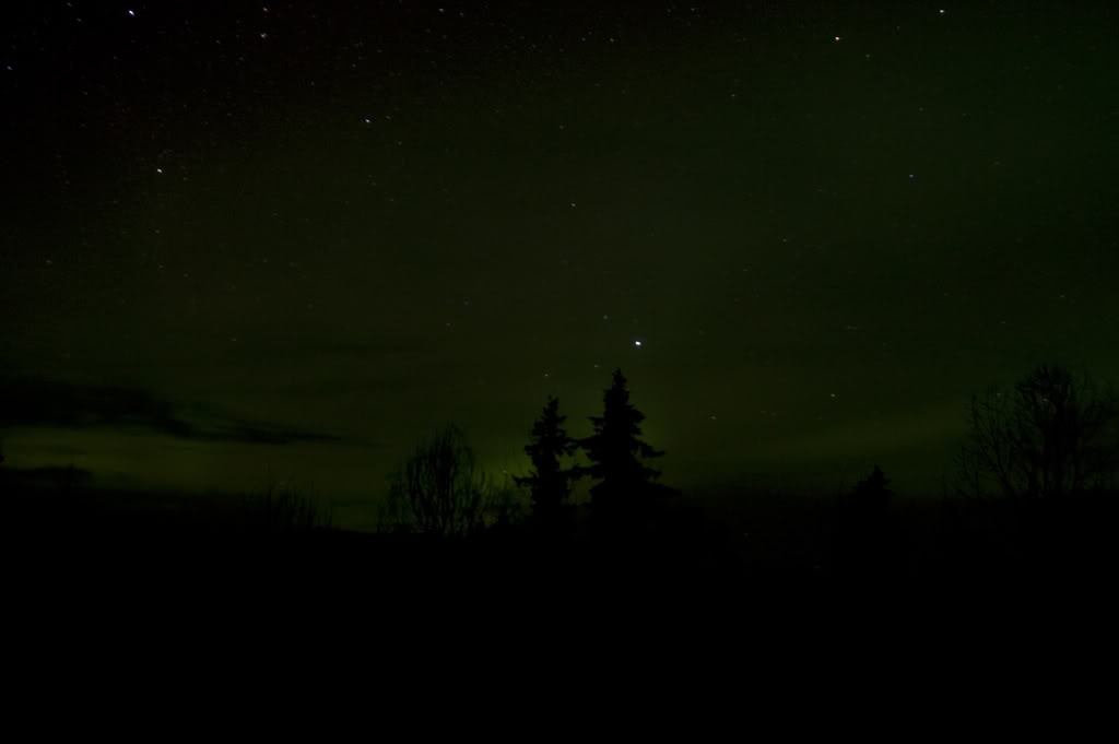 Name:  DSC_0039-1.jpg
Views: 32
Size:  24.8 KB