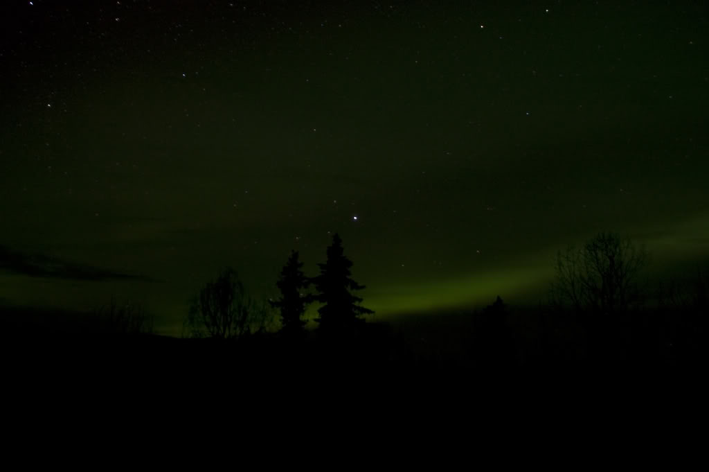 Name:  DSC_0041-1.jpg
Views: 28
Size:  24.9 KB