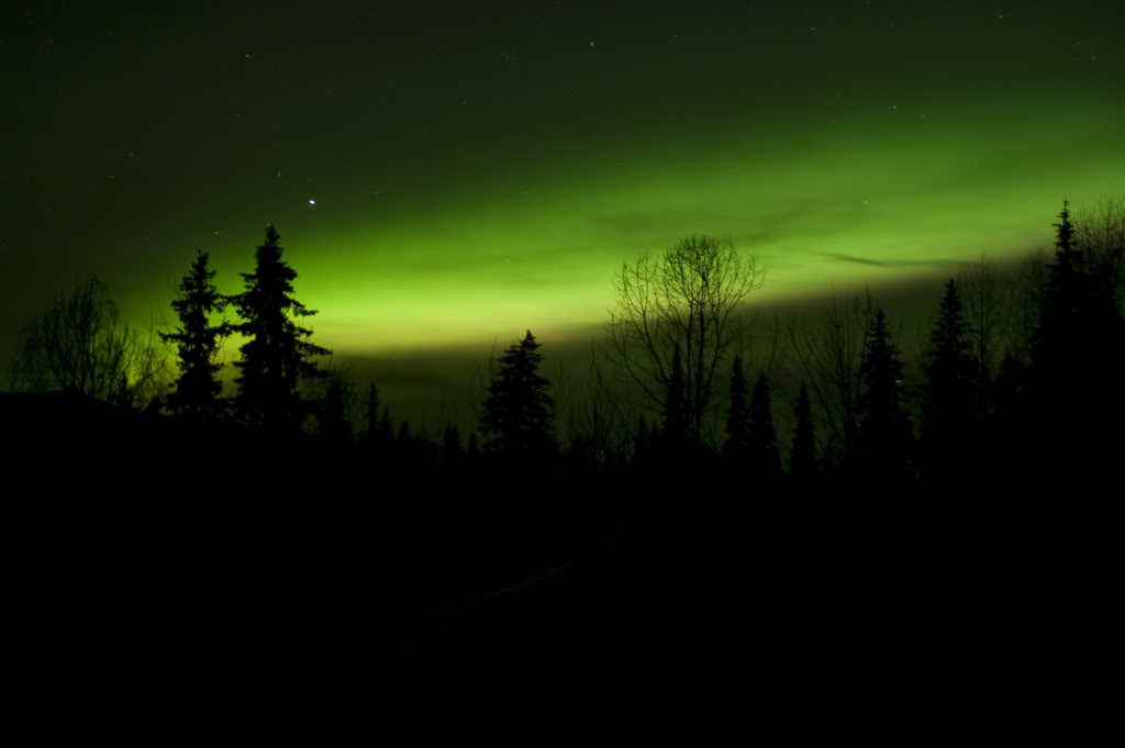 Name:  DSC_0042-1.jpg
Views: 31
Size:  38.5 KB