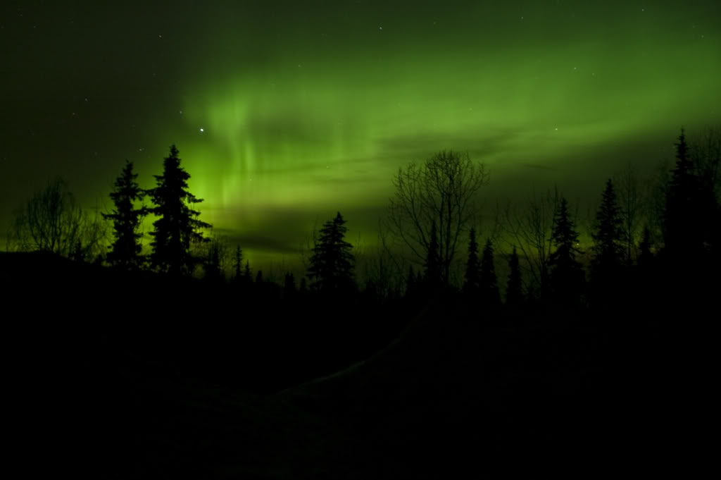 Name:  DSC_0043.jpg
Views: 32
Size:  39.0 KB