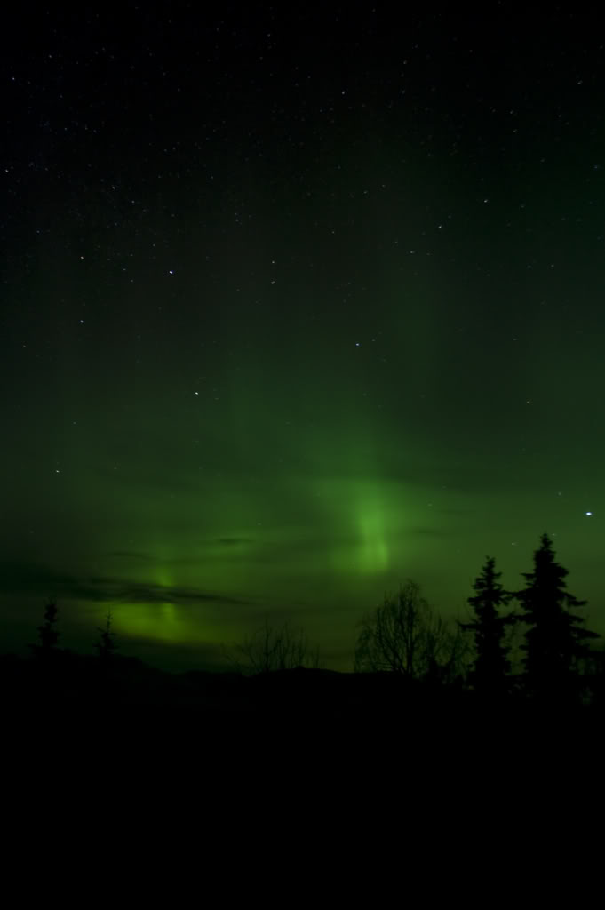 Name:  DSC_0044-2.jpg
Views: 29
Size:  27.9 KB