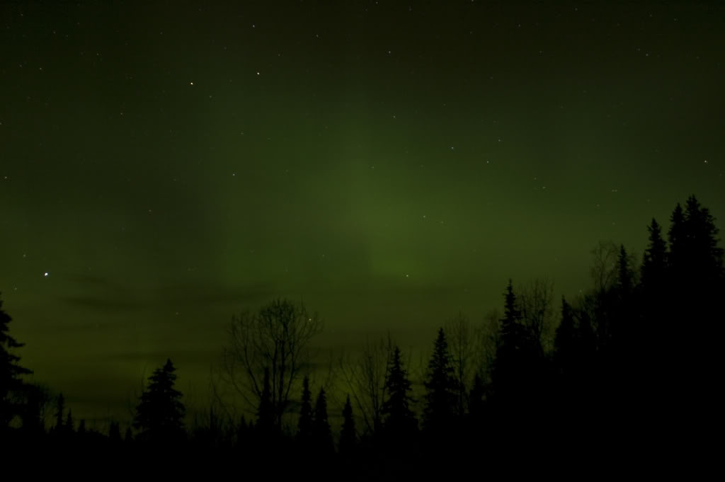 Name:  DSC_0045.jpg
Views: 56
Size:  30.3 KB