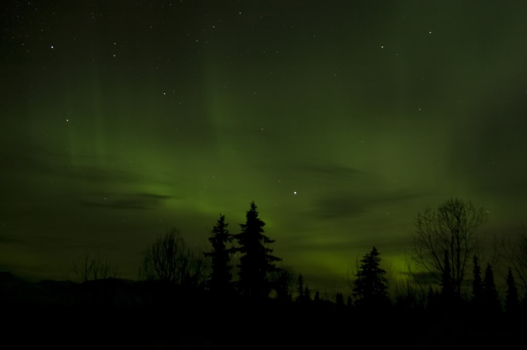 Name:  DSC_0046-1.jpg
Views: 29
Size:  32.1 KB