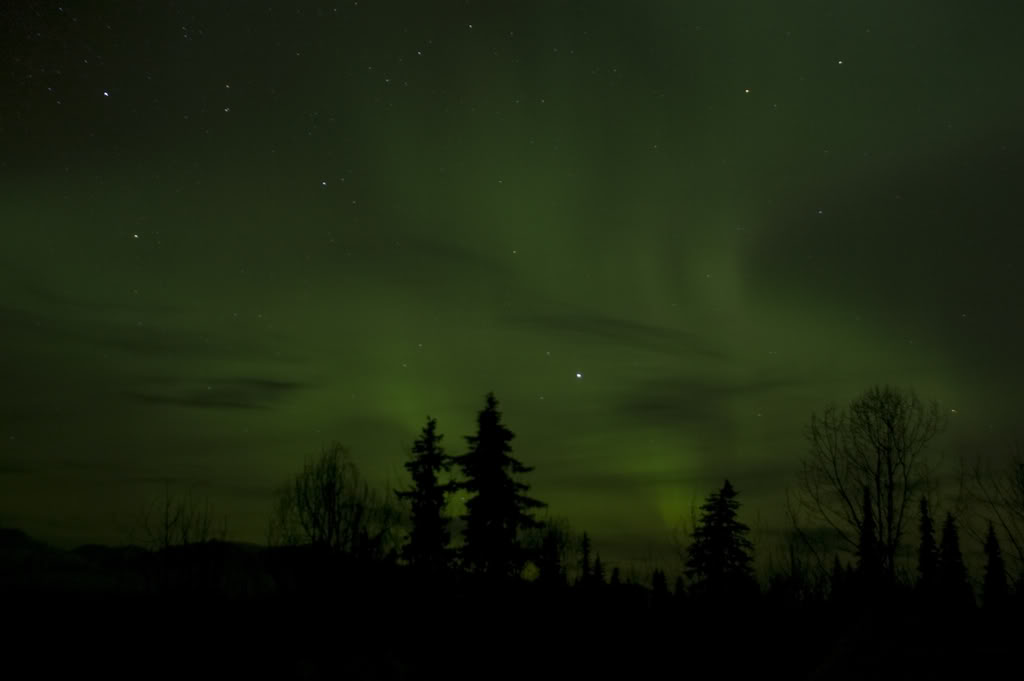 Name:  DSC_0047-1.jpg
Views: 49
Size:  30.7 KB