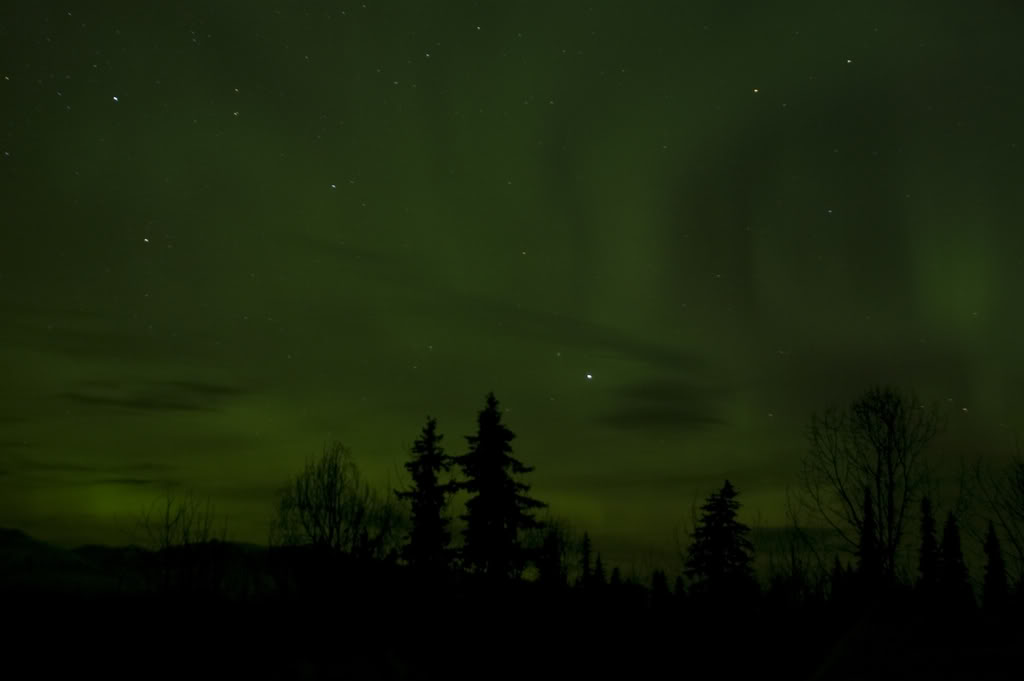 Name:  DSC_0049.jpg
Views: 30
Size:  29.9 KB