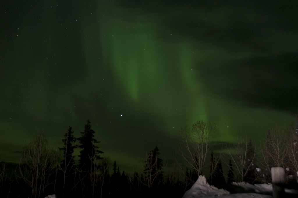 Name:  DSC_0051.jpg
Views: 29
Size:  40.7 KB