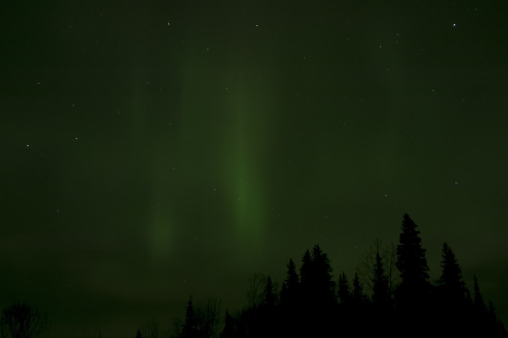 Name:  DSC_0056.jpg
Views: 33
Size:  24.4 KB