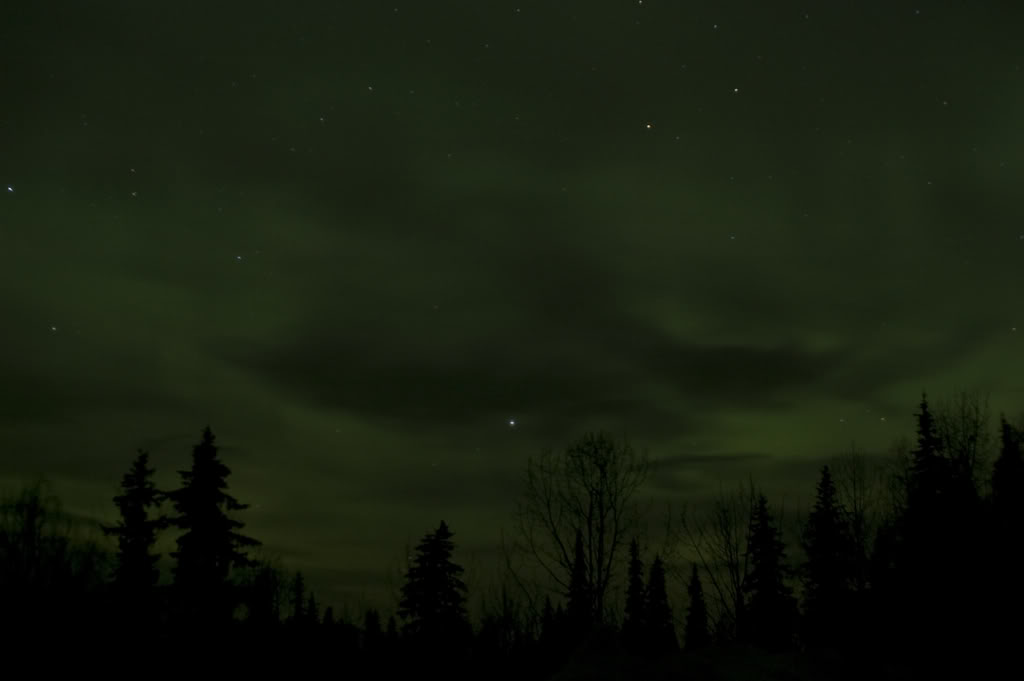 Name:  DSC_0061.jpg
Views: 29
Size:  29.6 KB