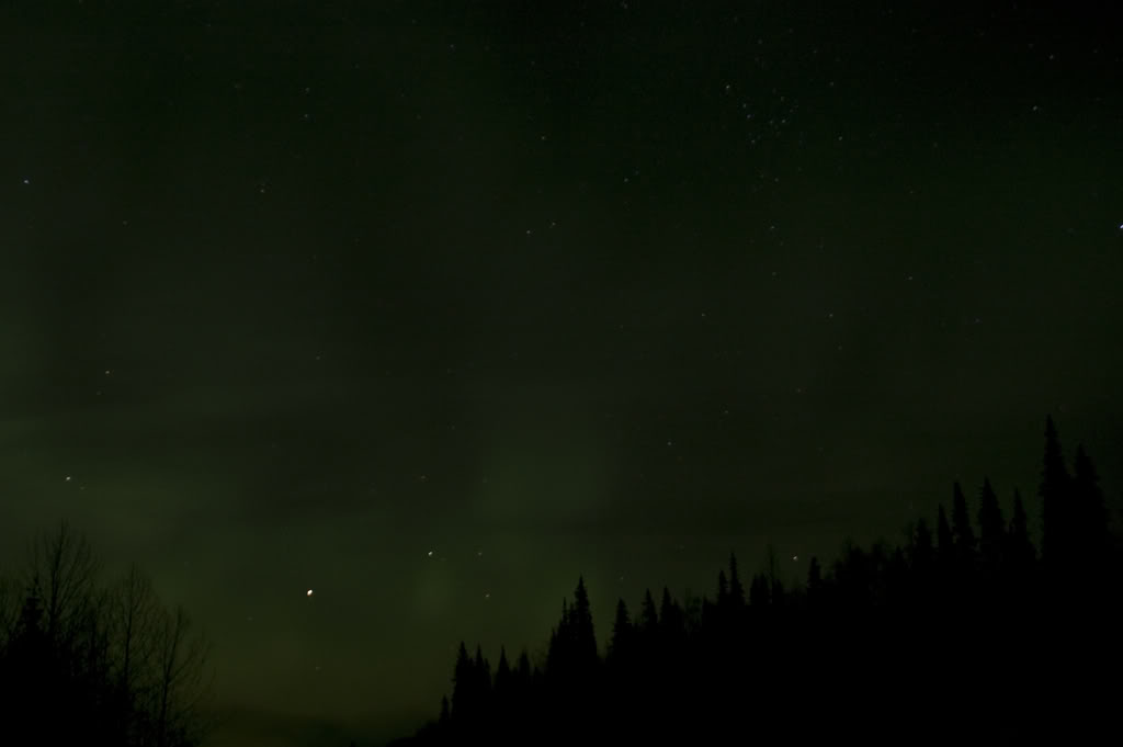 Name:  DSC_0063.jpg
Views: 29
Size:  25.4 KB