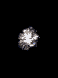 Name:  happynewyear.gif
Views: 45
Size:  14.4 KB