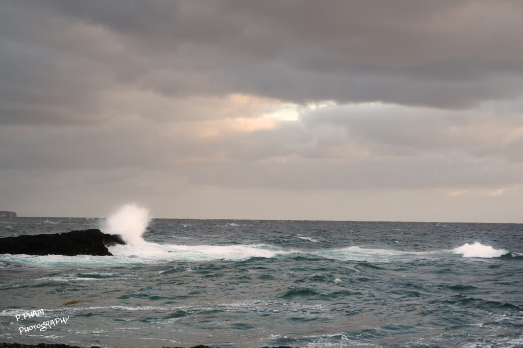 Name:  IMG_2864.jpg
Views: 41
Size:  85.3 KB