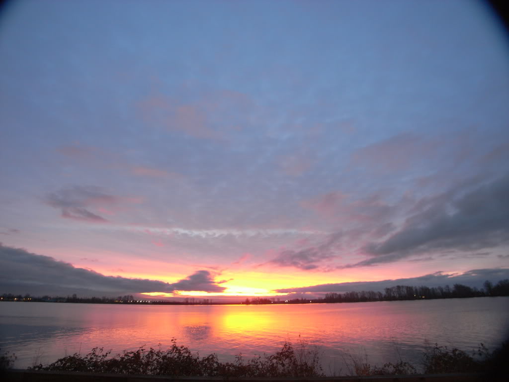 Name:  9672d07c.jpg
Views: 23
Size:  81.4 KB