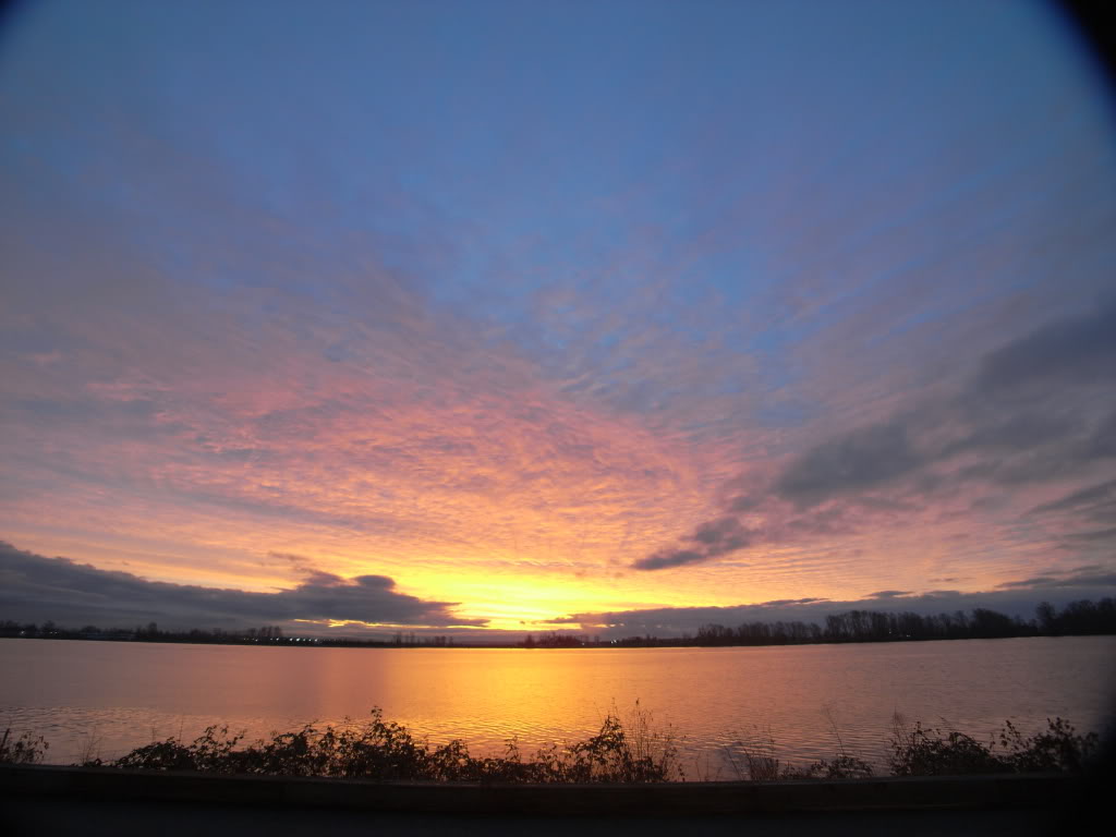 Name:  431d0dc7.jpg
Views: 21
Size:  89.5 KB