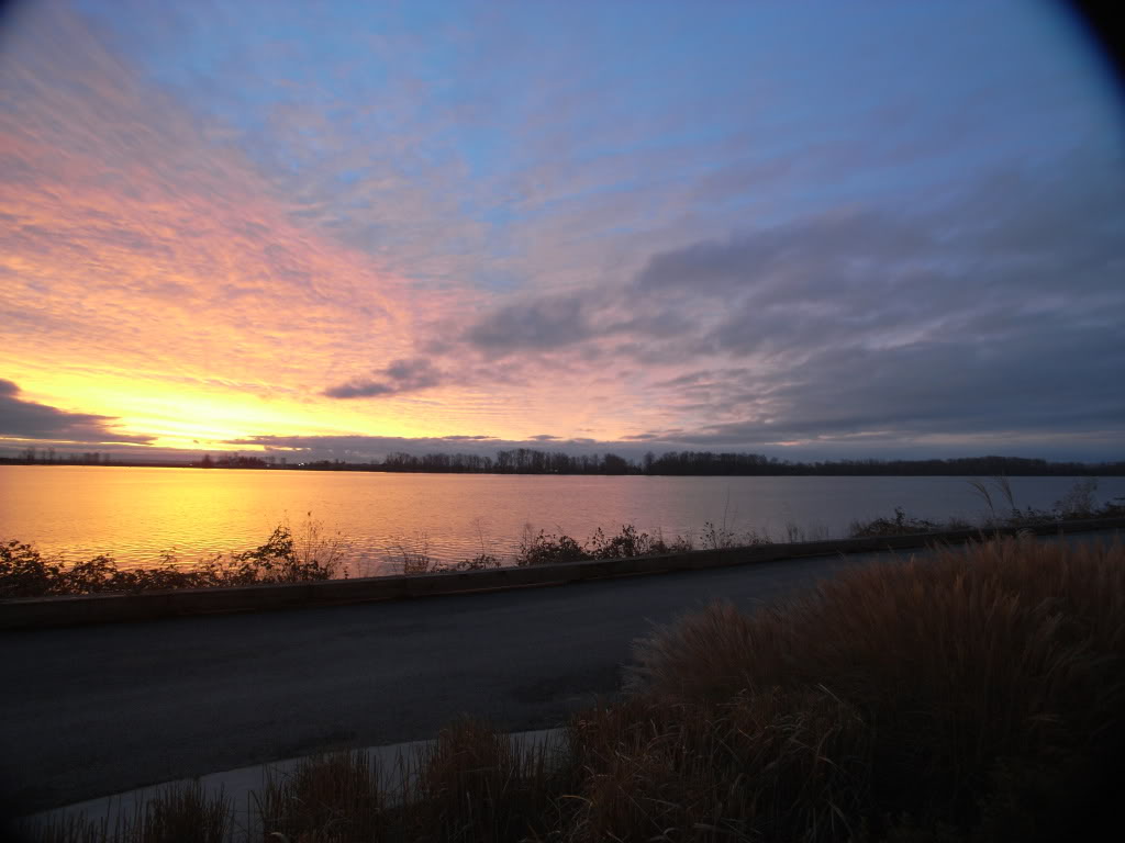 Name:  5191ec4f.jpg
Views: 22
Size:  95.2 KB