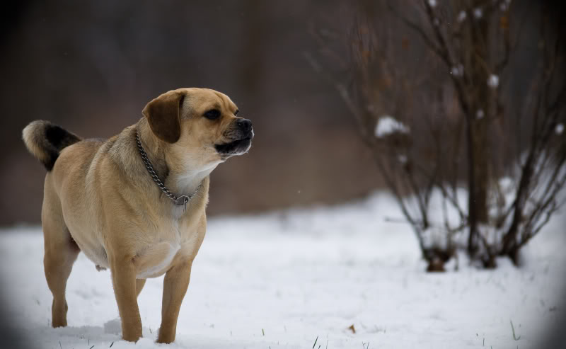 Name:  _DSC0036.jpg
Views: 59
Size:  38.0 KB