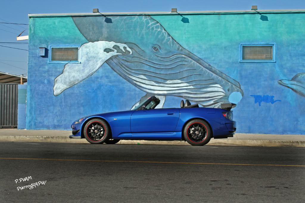 Name:  IMG_1719copy.jpg
Views: 57
Size:  120.9 KB