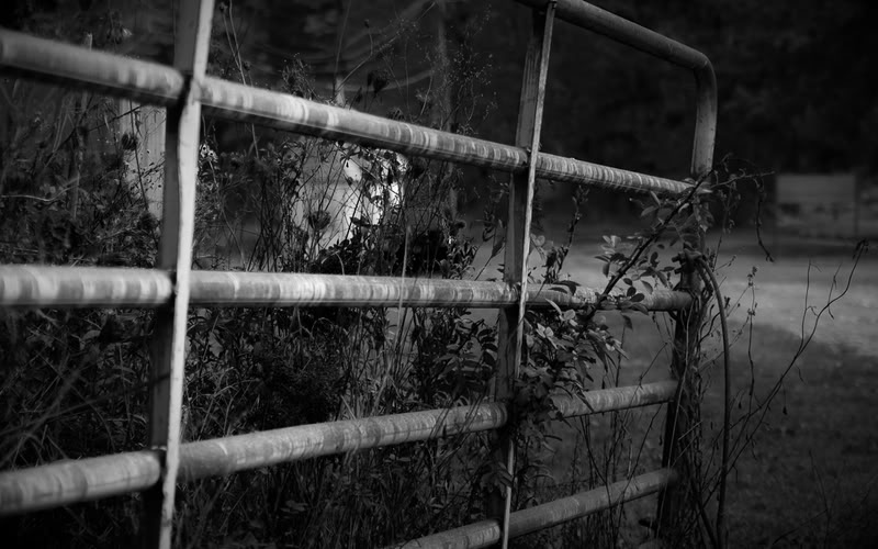 Name:  KeepOut.jpg
Views: 64
Size:  78.8 KB