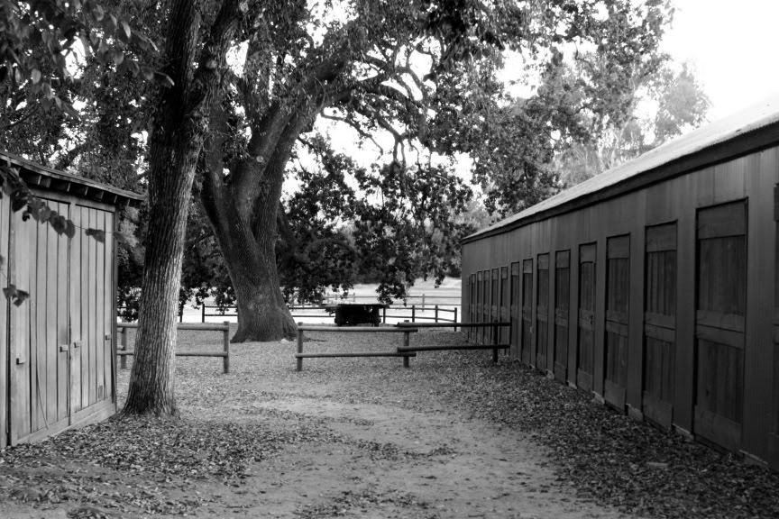 Name:  PRBM02.jpg
Views: 39
Size:  149.7 KB