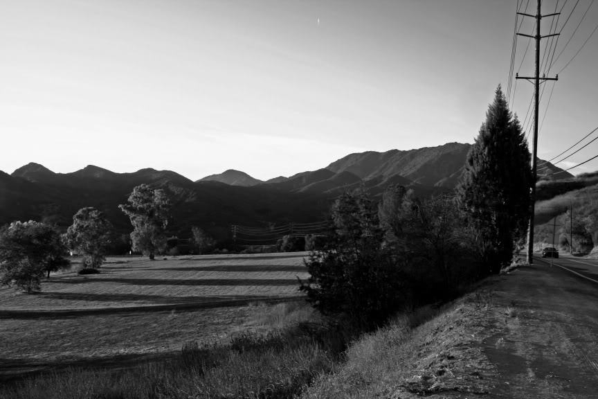 Name:  PRBW03.jpg
Views: 98
Size:  78.4 KB