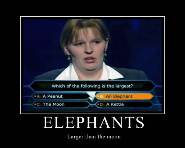 Name:  elephant.jpg
Views: 32
Size:  23.1 KB