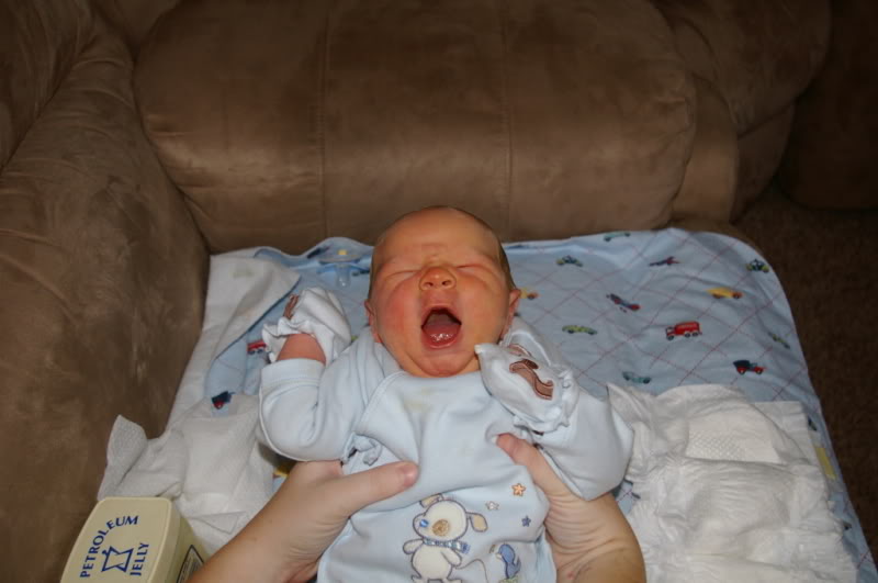 Name:  IMGP0512.jpg
Views: 29
Size:  43.1 KB