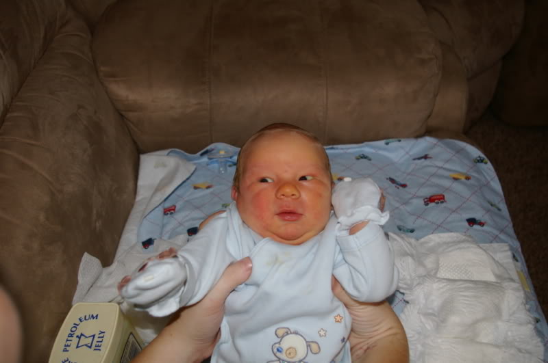 Name:  IMGP0513.jpg
Views: 30
Size:  41.5 KB