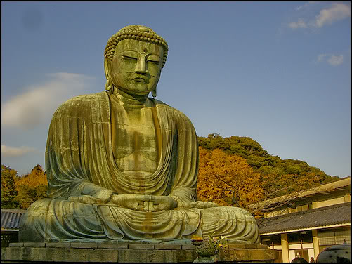 Name:  y1.jpg
Views: 64
Size:  54.1 KB