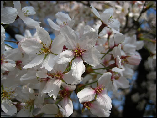 Name:  z2.jpg
Views: 89
Size:  43.8 KB