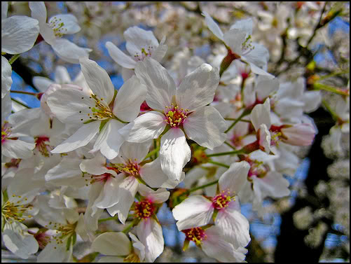 Name:  y2.jpg
Views: 73
Size:  51.0 KB