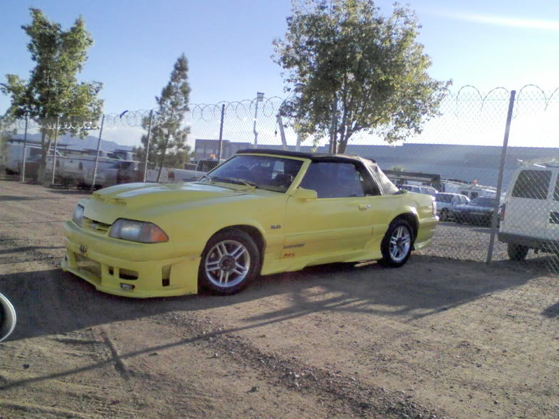 Name: mustang.jpg
Views: 96
Size: 114.4 KB