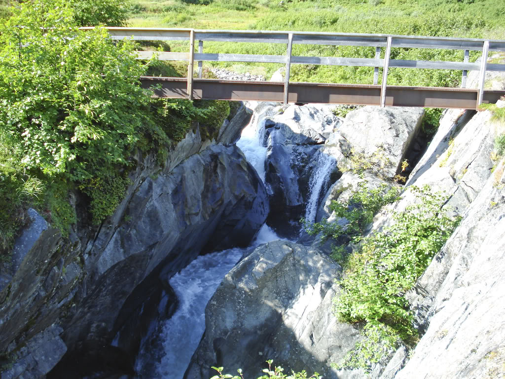 Name:  20080830-DSC01945-1.jpg
Views: 71
Size:  269.0 KB