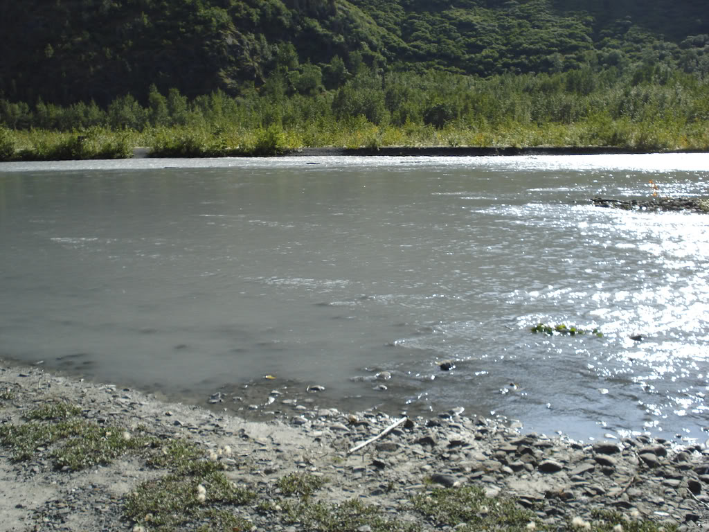 Name:  20080830-DSC01972-1.jpg
Views: 58
Size:  189.0 KB