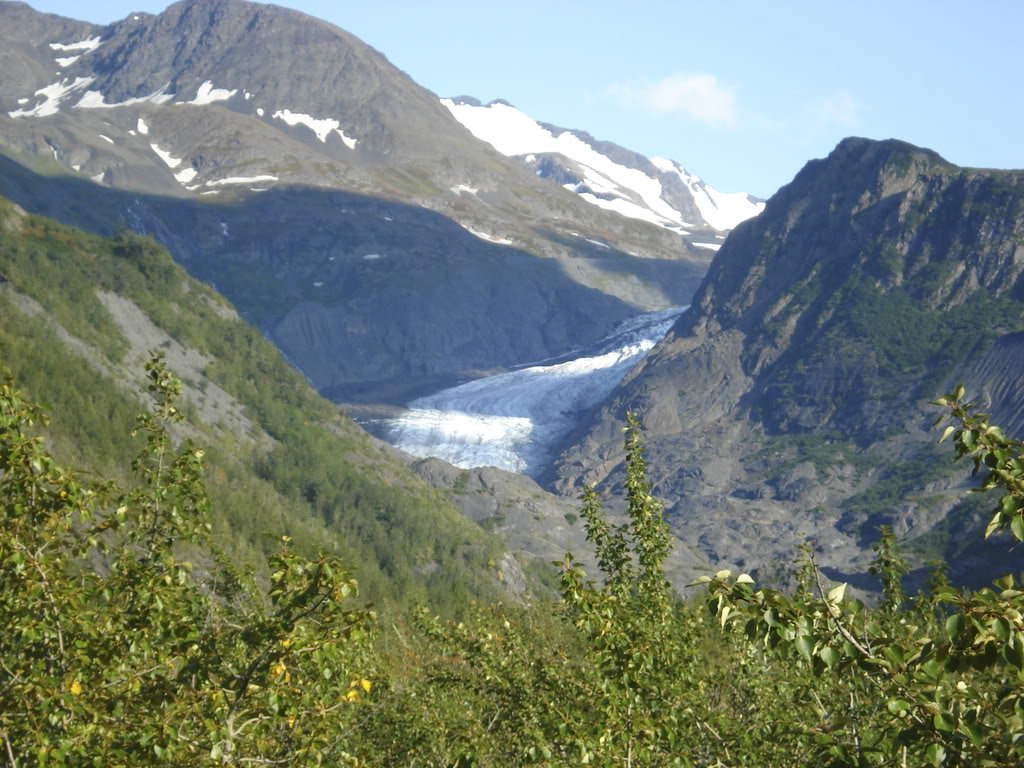 Name:  20080830-DSC01978-1.jpg
Views: 40
Size:  170.0 KB