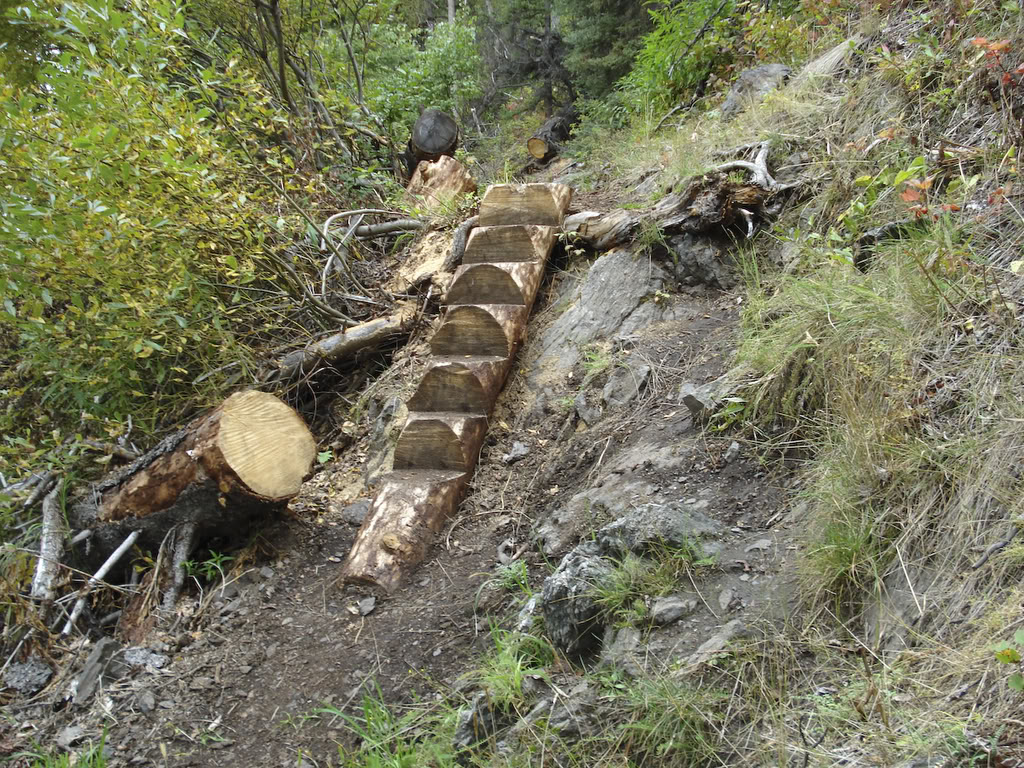 Name:  20080831-DSC02004-1.jpg
Views: 64
Size:  346.1 KB