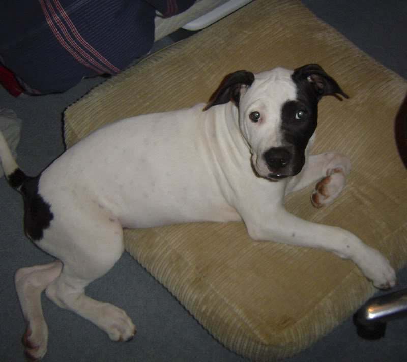 Name:  DSC01622.jpg
Views: 117
Size:  59.1 KB