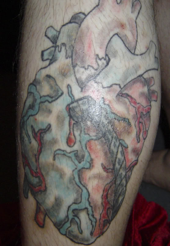 Name:  DSC01621.jpg
Views: 117
Size:  67.9 KB