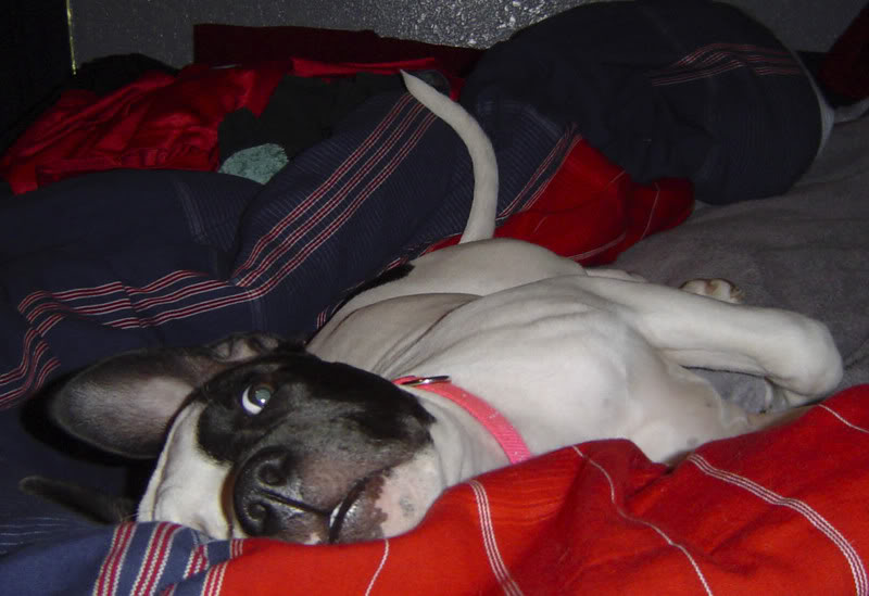 Name:  DSC01612.jpg
Views: 79
Size:  60.5 KB