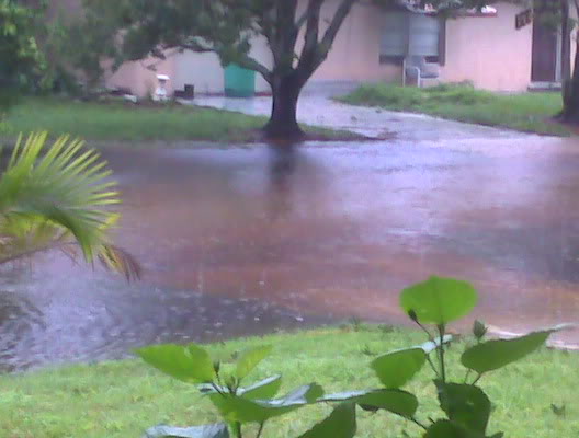 Name:  IMG00236.jpg
Views: 54
Size:  32.1 KB