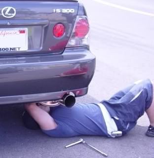 Name:  Trunk_3.jpg
Views: 25
Size:  16.0 KB