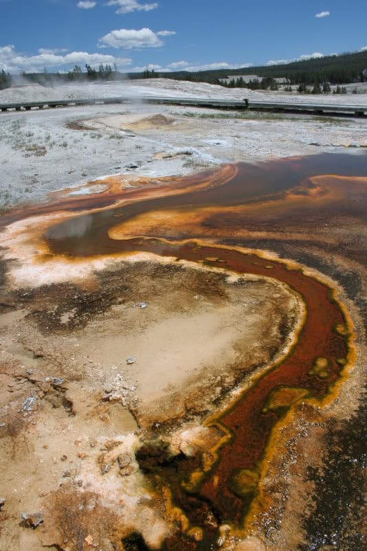 Name:  IMG_9239.jpg
Views: 38
Size:  108.7 KB