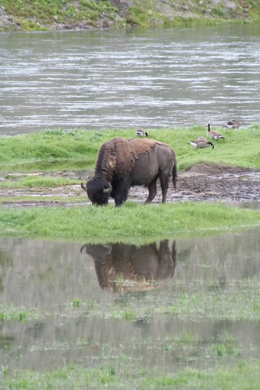 Name:  IMG_0371.jpg
Views: 58
Size:  93.6 KB