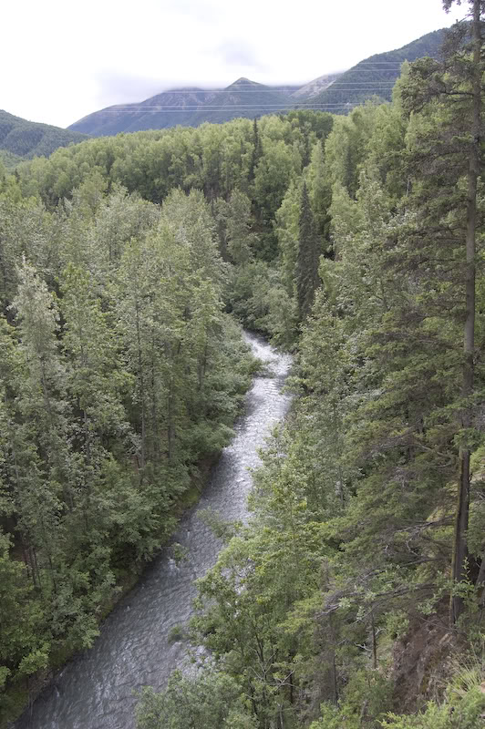 Name:  20080720-DSC_0005.jpg
Views: 41
Size:  149.5 KB