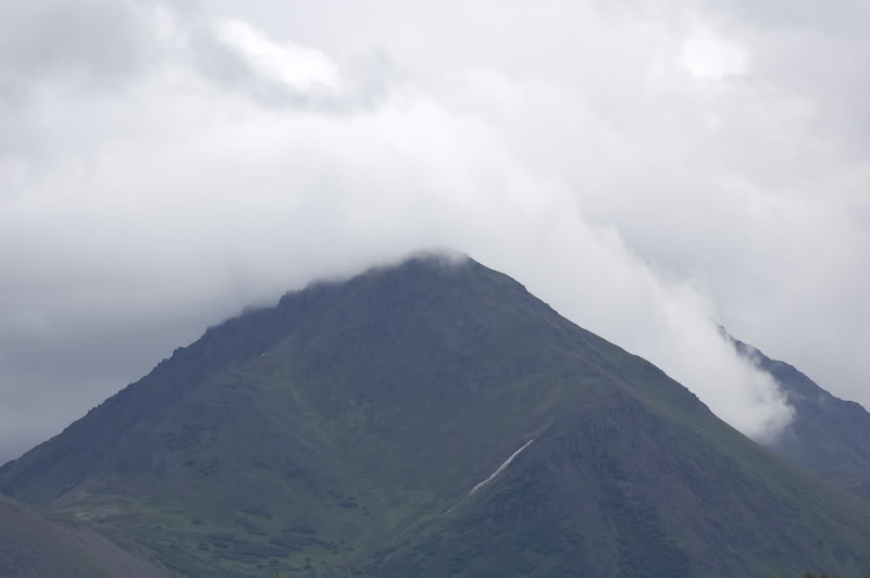 Name:  20080720-DSC_0019.jpg
Views: 39
Size:  25.7 KB