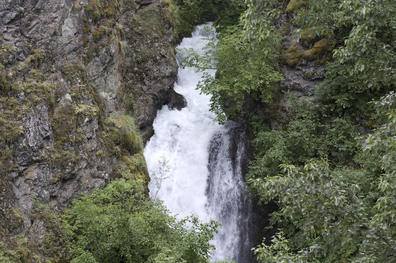 Name:  20080720-DSC_0027.jpg
Views: 48
Size:  172.2 KB