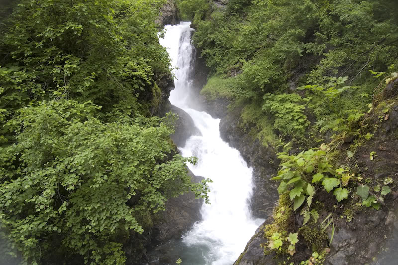 Name:  20080720-DSC_0037.jpg
Views: 39
Size:  163.9 KB