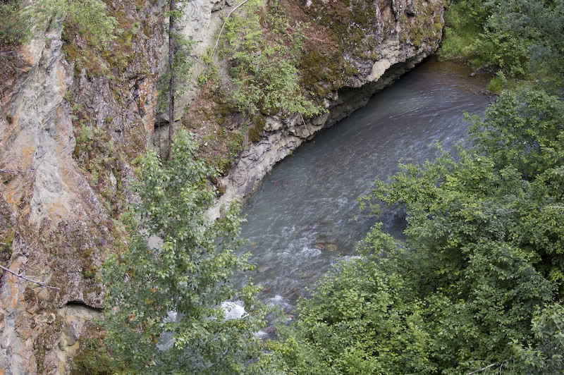 Name:  20080720-DSC_0142.jpg
Views: 39
Size:  185.8 KB