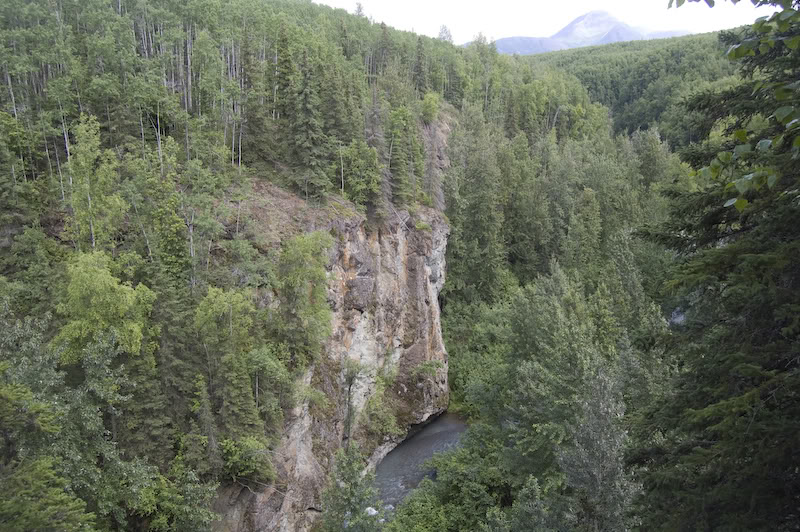 Name:  20080720-DSC_0139.jpg
Views: 36
Size:  154.4 KB