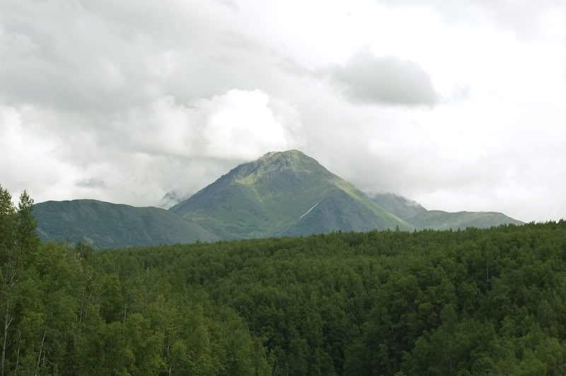 Name:  20080720-DSC_0144.jpg
Views: 31
Size:  51.6 KB