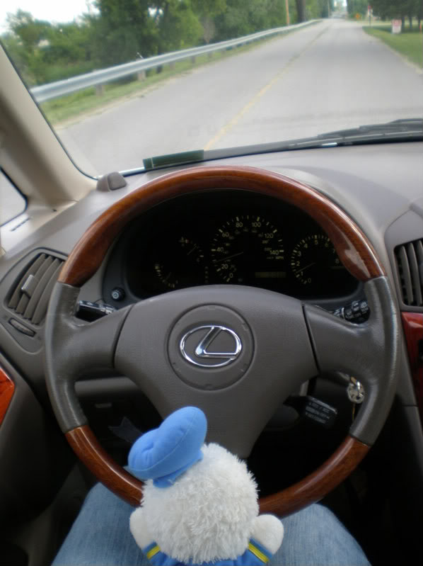 Name:  P7030066.jpg
Views: 59
Size:  59.5 KB